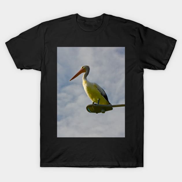 Pelican on a Light! T-Shirt by Mickangelhere1